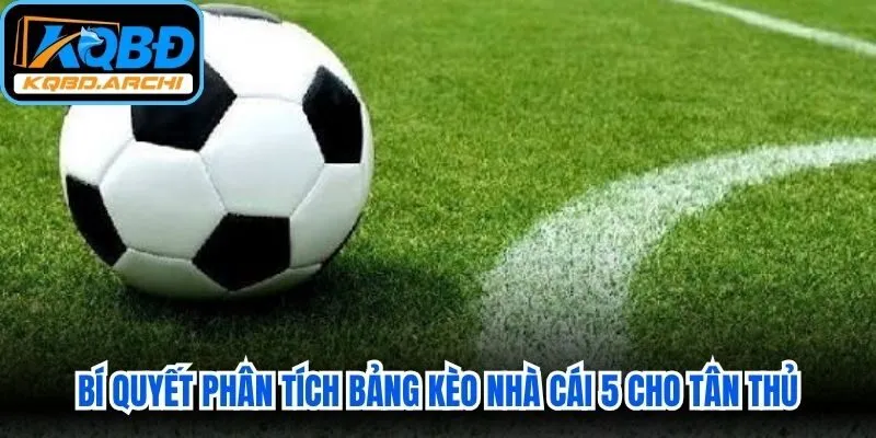  Bí quyết phân tích bảng kèo nhà cái 5 cho tân thủ áp dụng