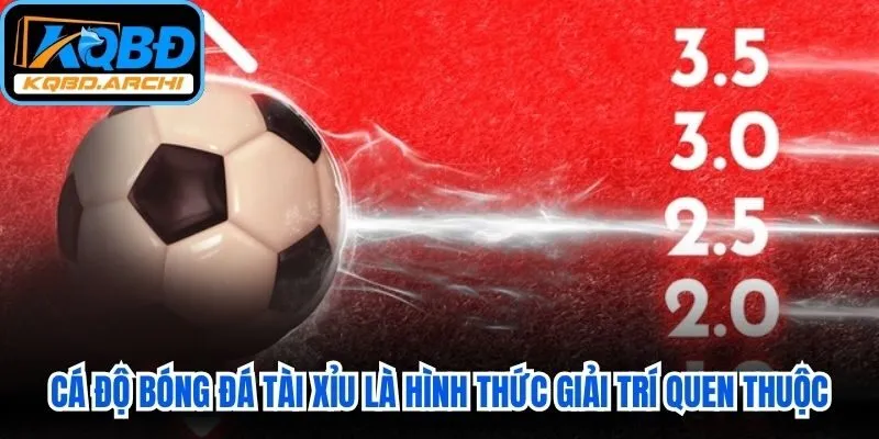 Cá độ bóng đá tài xỉu là hình thức giải trí quen thuộc, lôi cuốn với nhiều người