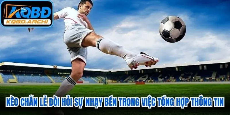 Kèo chẵn lẻ đòi hỏi sự nhạy bén trong việc tổng hợp thông tin