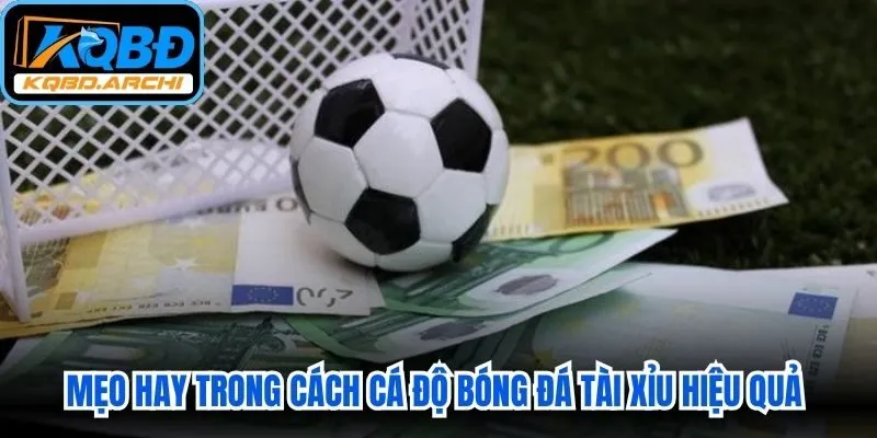 Mẹo hay trong cách cá độ bóng đá tài xỉu giúp nâng cao hiệu quả cược