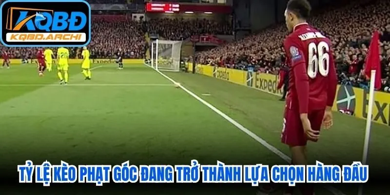 Tỷ lệ kèo phạt góc đang trở thành lựa chọn hàng đầu của nhiều anh em